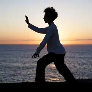 The Power of Qi Gong - 8 Part Video Series