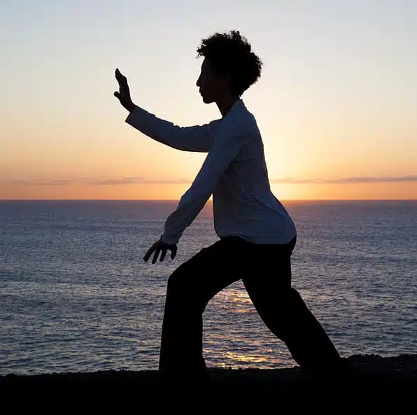 The Power of Qi Gong - 8 Part Video Series