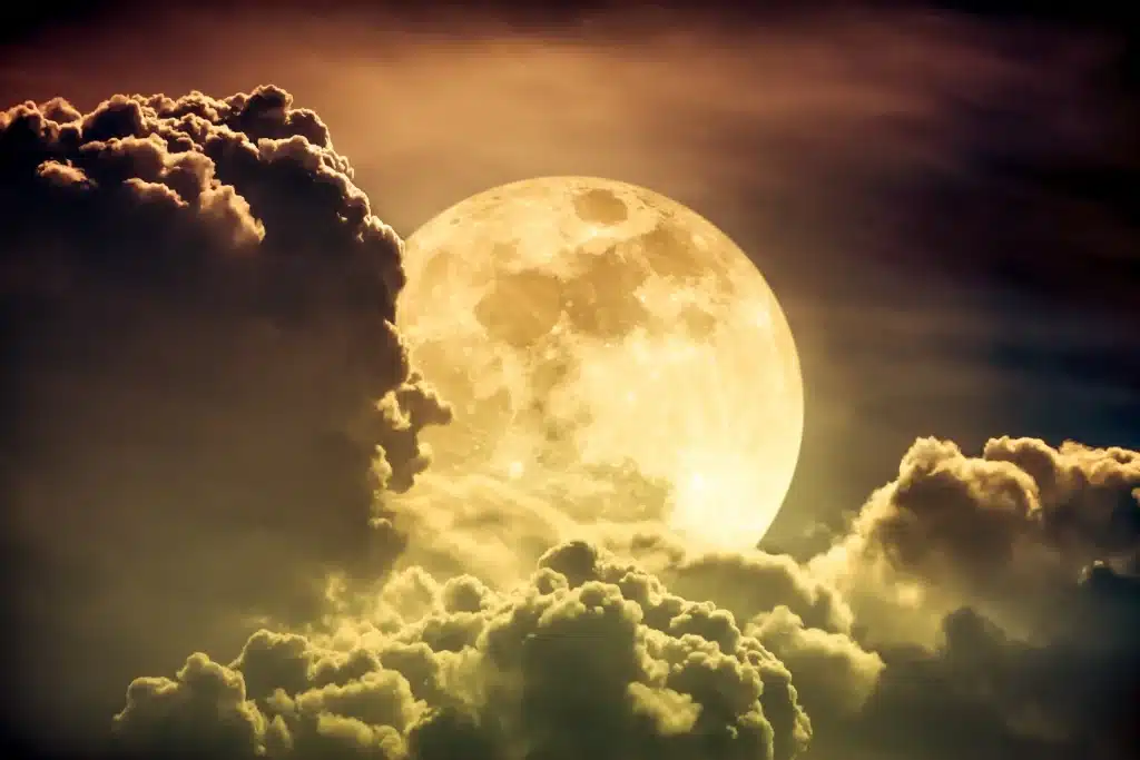 Full Moon Update ~November 15, 2024