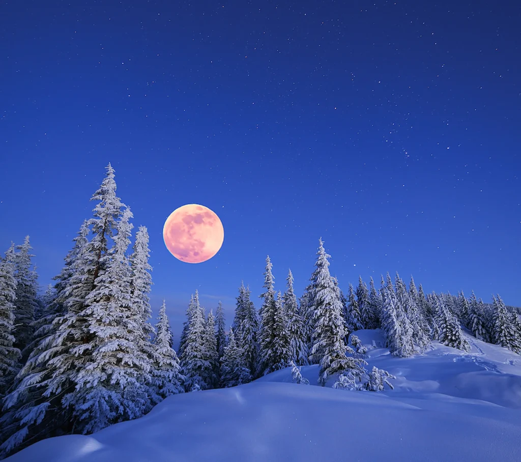 Full Moon Update ~December 15, 2024