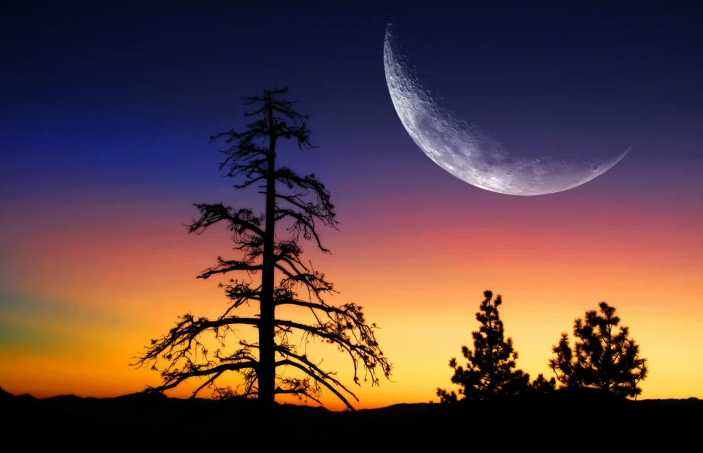 New Moon Update ~February 26,2025