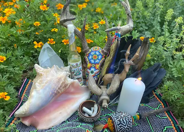 Remote Shamanic Healing